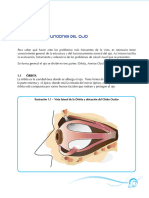 Anatomia Ocular Basico