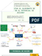 Potencial de Acción - NEFRO