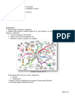 HC Actividad No. 7 (Mapa Mental)