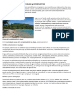 Contaminación de Las Playas 2D EN EL PERU