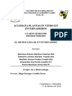 El Micro Clima de Un Invernadero
