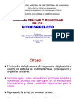 7 Biocelmol Citoesqueleto 2019