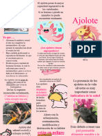 Ajolote