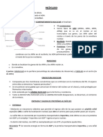 Biología Efi