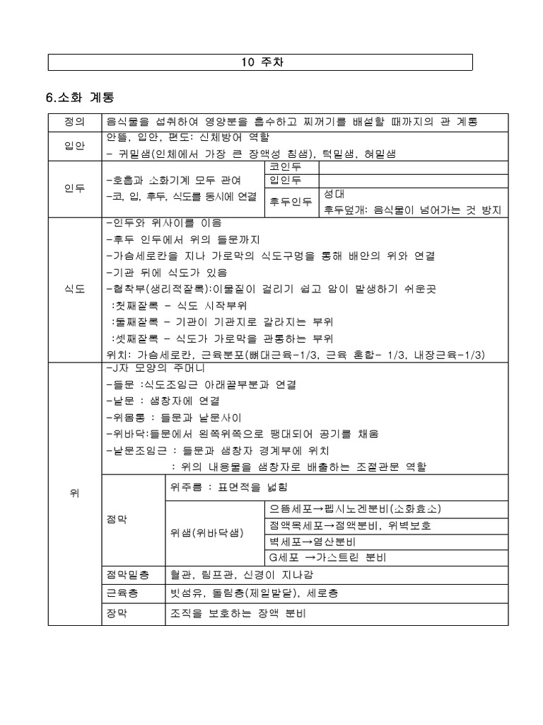 해부학 원포인트 - 10주차 | PDF, image size:768x1024