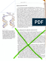 2 - Parte Cap 14 Curtis Replicación ADN