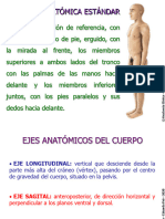 Terminología Clínica y Planimetría (ARTI I) - @PM - Academico