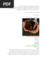 Super qattiq porno videolarni tomosha qiling