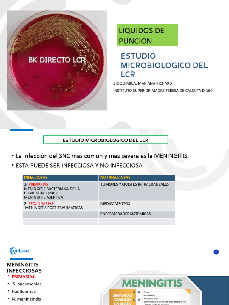 ESTUDIO MICROBIOLOGICO DEL LCR | PDF | Estreptococo | Meningitis