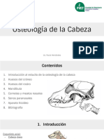 OsteologÃ A de La Cabeza - Paula HernÃ¡ndez