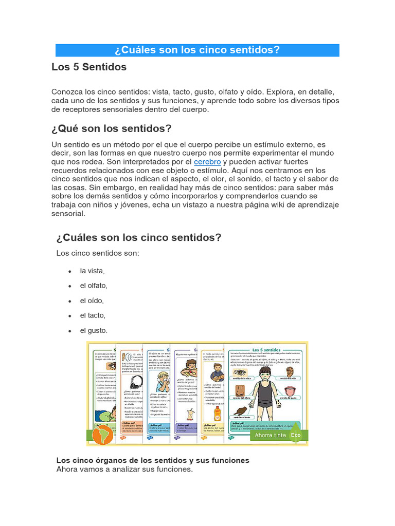 Sentidos Pdf Oído Gusto