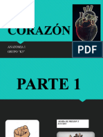 CORAZÓN