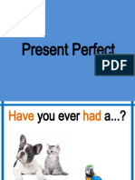 13 Present - Perfect