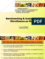 Benchmarking and Analyse de La Microfina
