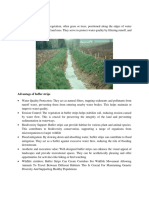 Buffer Strips