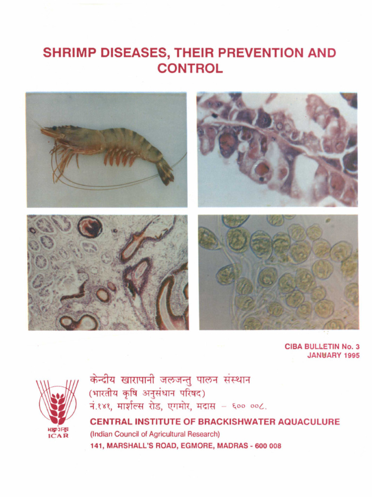 13 Shrimp Diseases, Their Prevention and Control | PDF