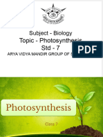 Photosynthesis