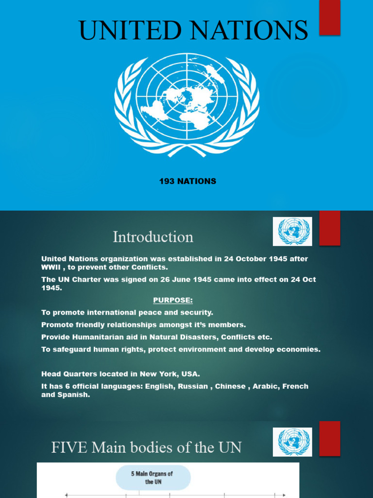 Overview of the United Nations Structure | PDF | Travel