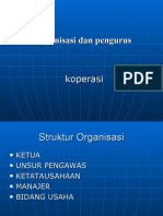 Organisasi Dan Pengurus