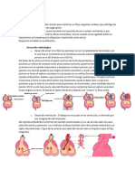 Resumen Sistemica Cardiovascular