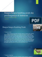 Bangsa-Bangsa Kambing Perah Dan Persilangannya Di Indonesia