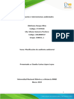 Anexo 1 - Formato de Plan de Auditoria Externa