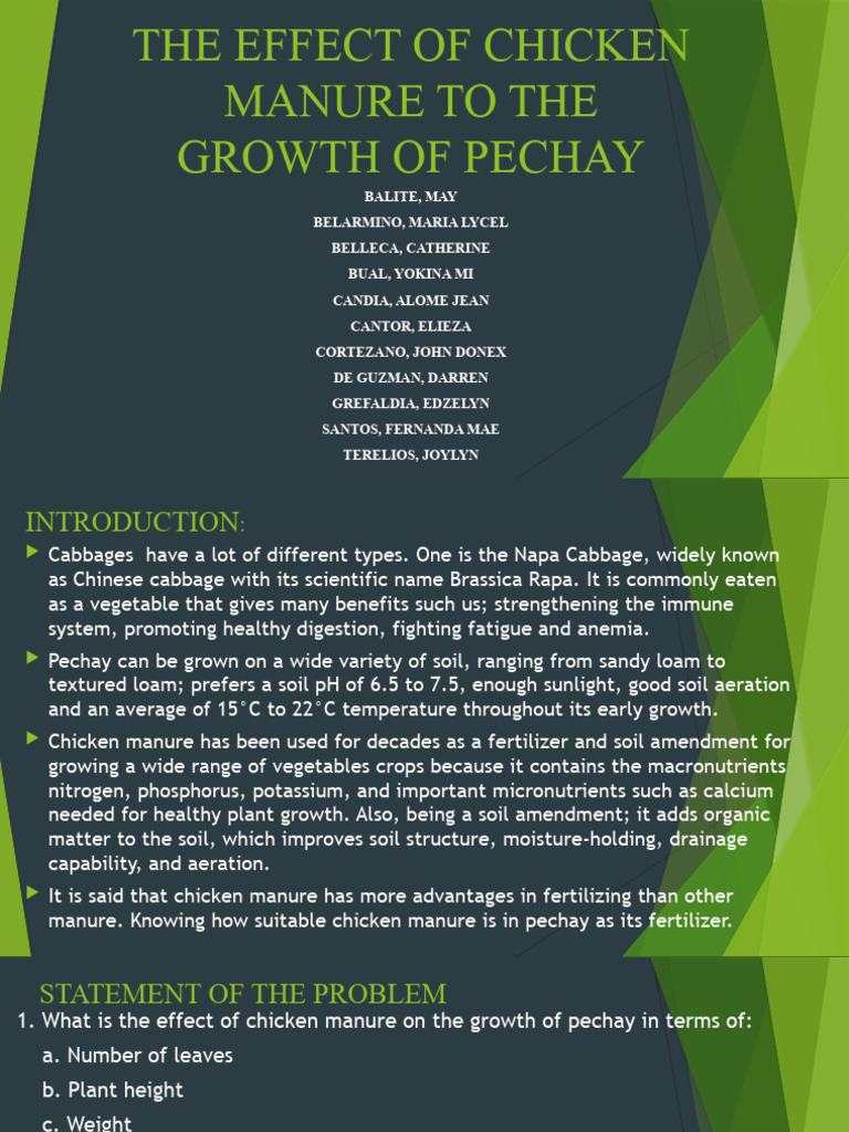 Chicken Manure's Impact on Pechay Growth | PDF | Fertilizer | Manure