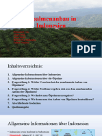 Ölpalmenanbau in Indonesien