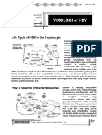 Virologi of HBV: Senin, 27 Desember 2010 Prof. Dr. Siti Nurjanah, SP - PD