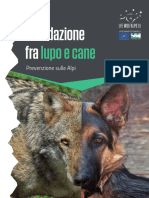 Invio E-Mail LWA-EU-brochure-Ibridazione