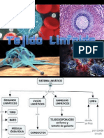 Tema 11 TEJIDO LINFOIDE (1)