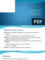 Mutation - Replication Inaccuracy