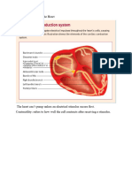 Heart Conduction 081627