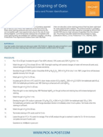 Silver Staining Protocol