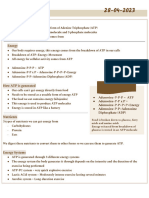 Energy Systems Notes