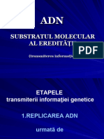 Replicarea ADN. Diviziunea Celulara