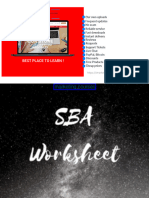 02-SBA Worksheet