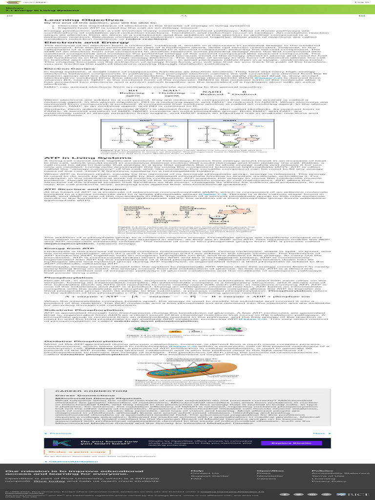 7.1 Energy in Living Systems Biology OpenStax 2 PDF Nicotinamide