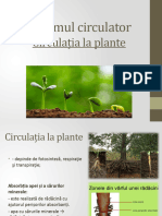 Circulația La Plante - Biologie