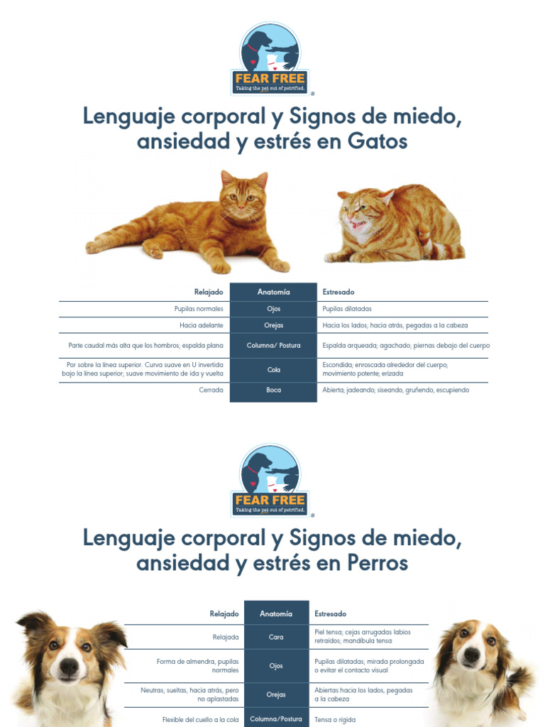 FAS-en-perros-y-gatos-1 | PDF