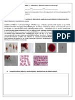 Lucrare Practica nr.1 Clasa 9