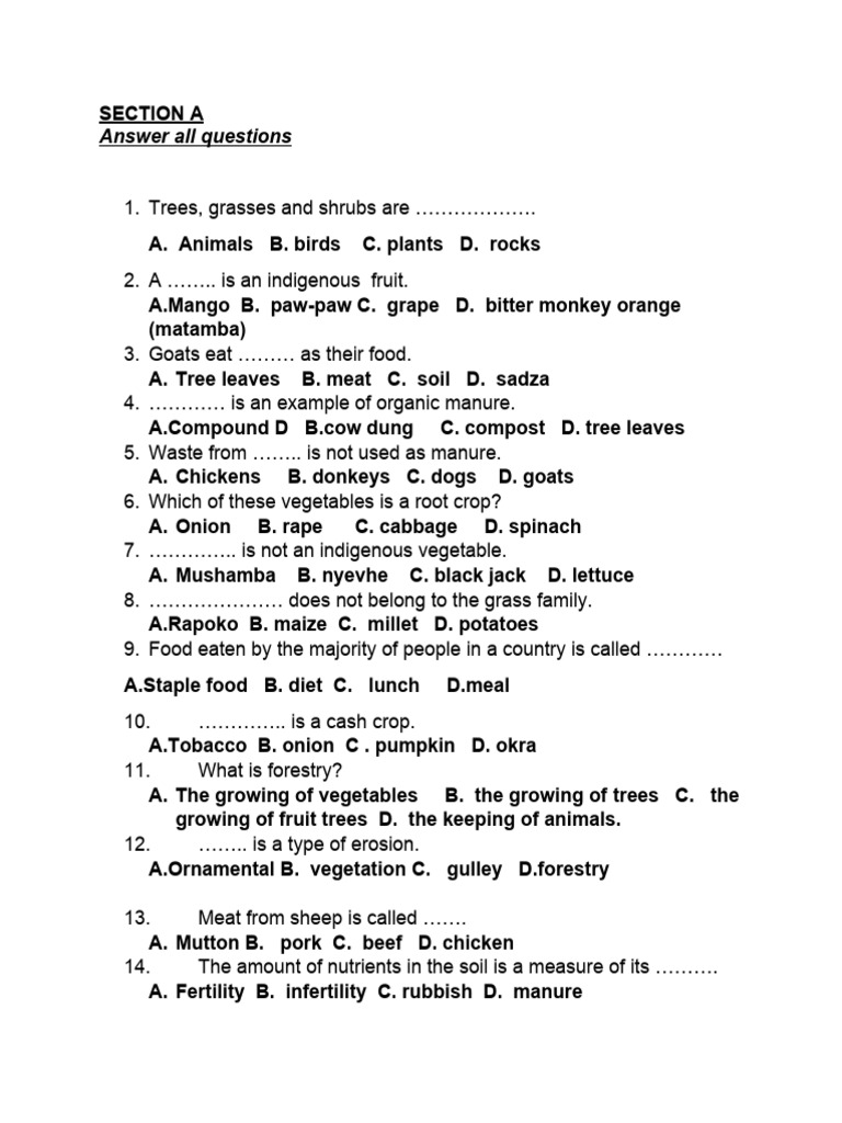 Agriculture Questions for Grade 3 Exam | PDF | Manure | Agriculture