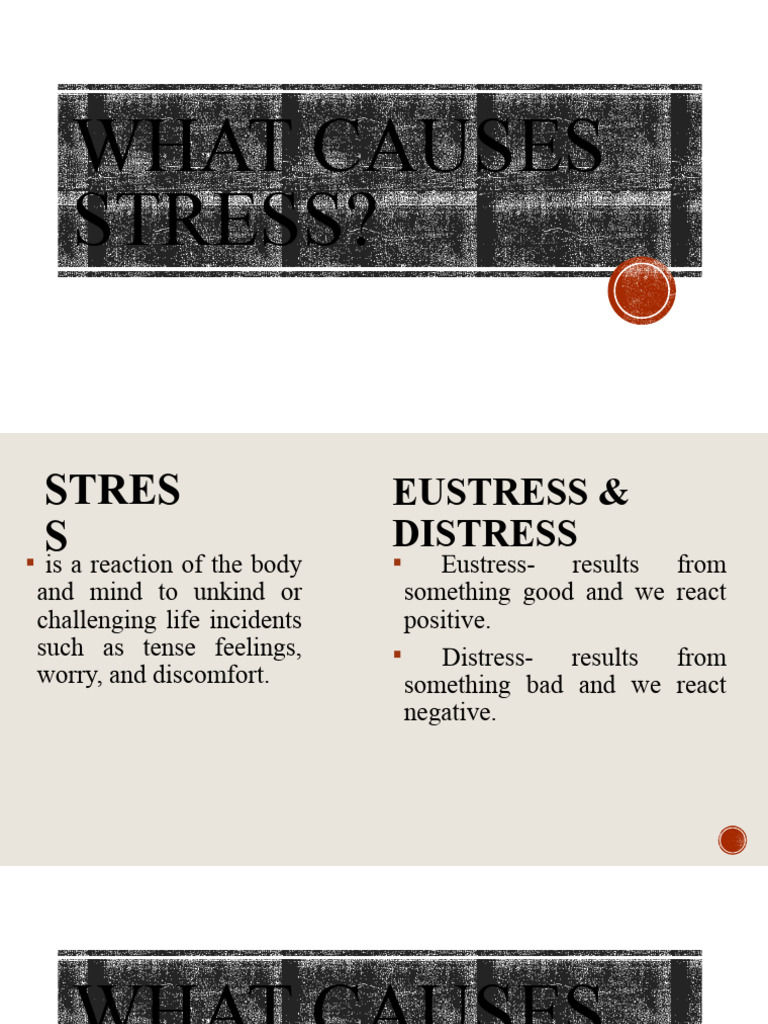 What Causes Stress | PDF | Self-Improvement