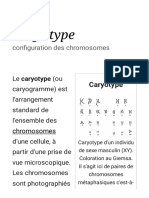 Caryotype - Wikipédia
