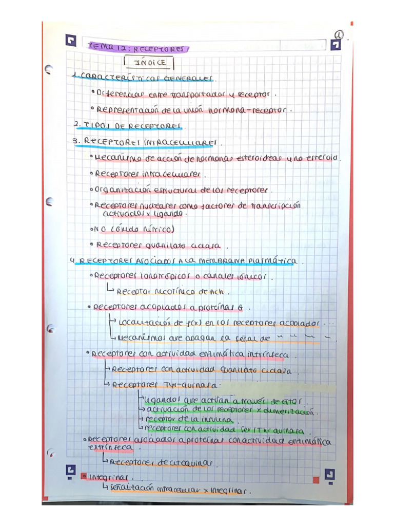 Desper | PDF