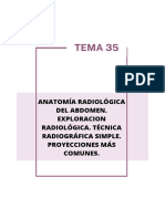 Tema 35