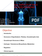 Male Reproductive Hormones