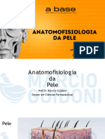 2023-03!23!16!20!48anatomofisiologia Da Pele MARCIO Aula