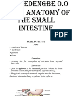 Gross Anatomy of The Small Intestine