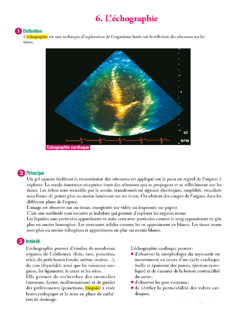 L'échographie | PDF